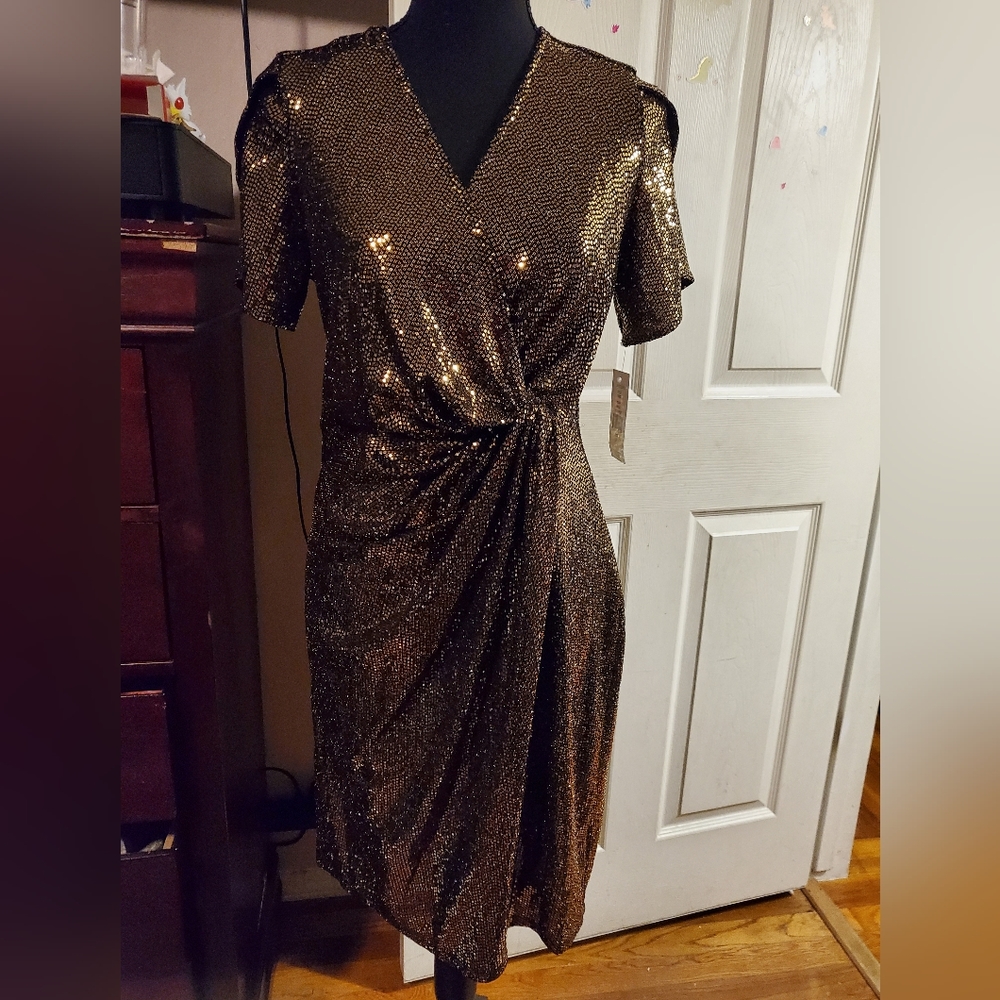 Evening Dress